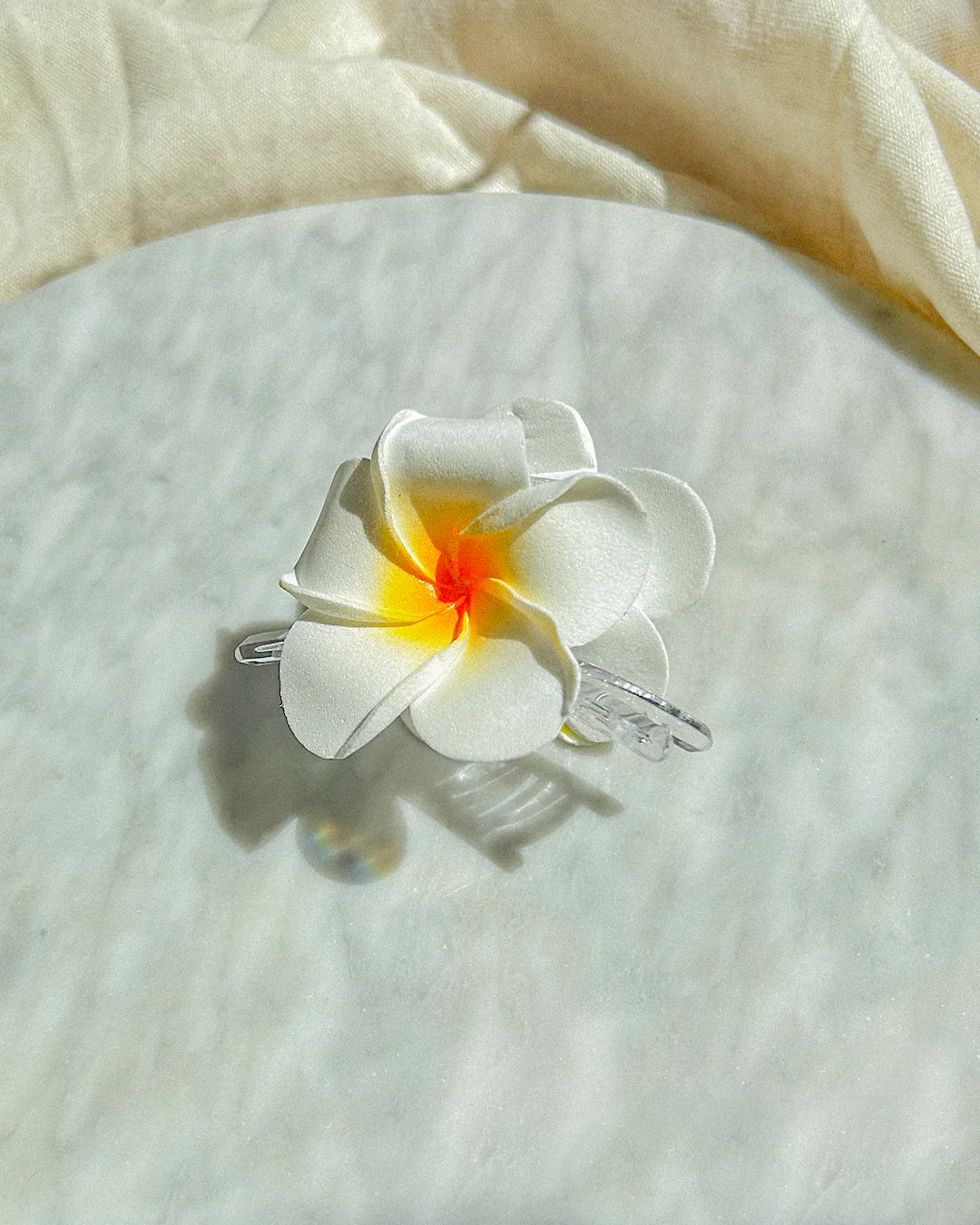 Frangipani Clear Hair Claw - Fashion Us