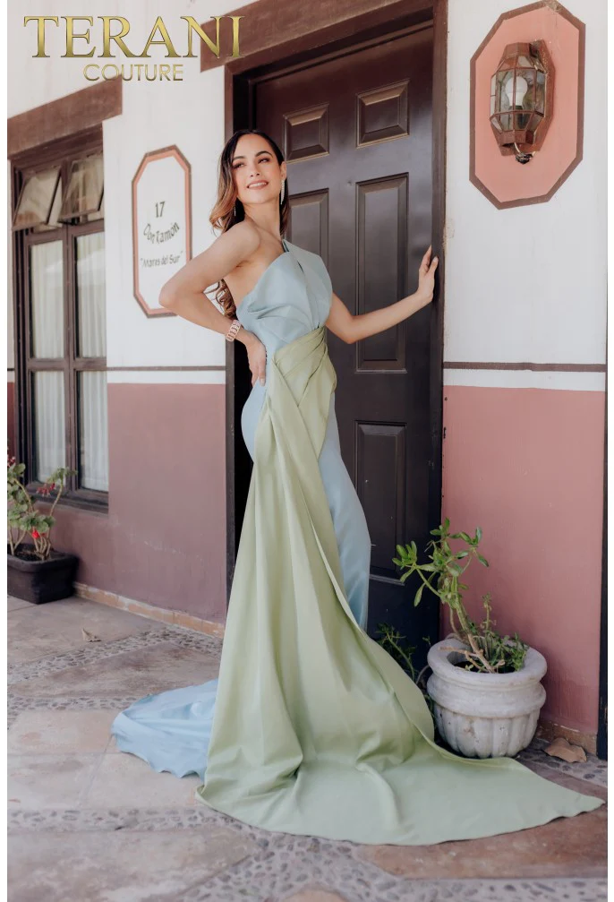 TERANI 232E1276 DRESS - Fashion Us
