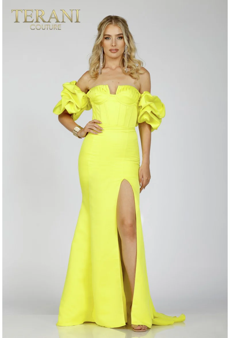 TERANI 231P0181 Dress - Fashion Us