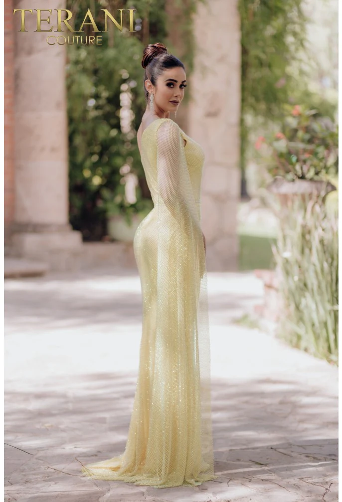 TERANI 232E1209 DRESS - Fashion Us