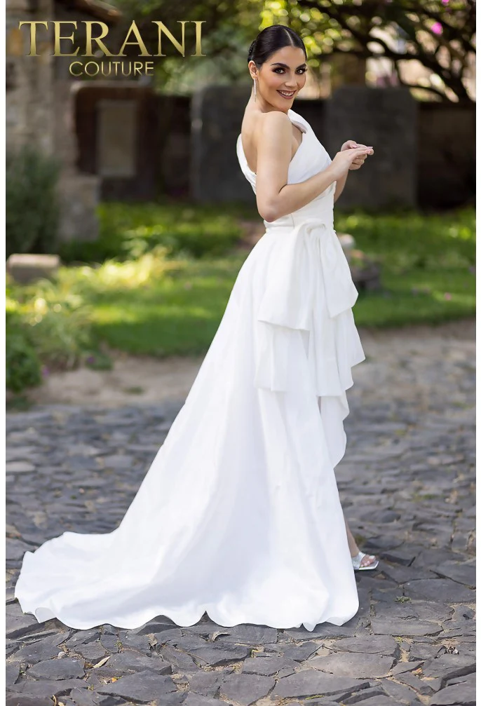 TERANI 232C1134 DRESS - Fashion Us