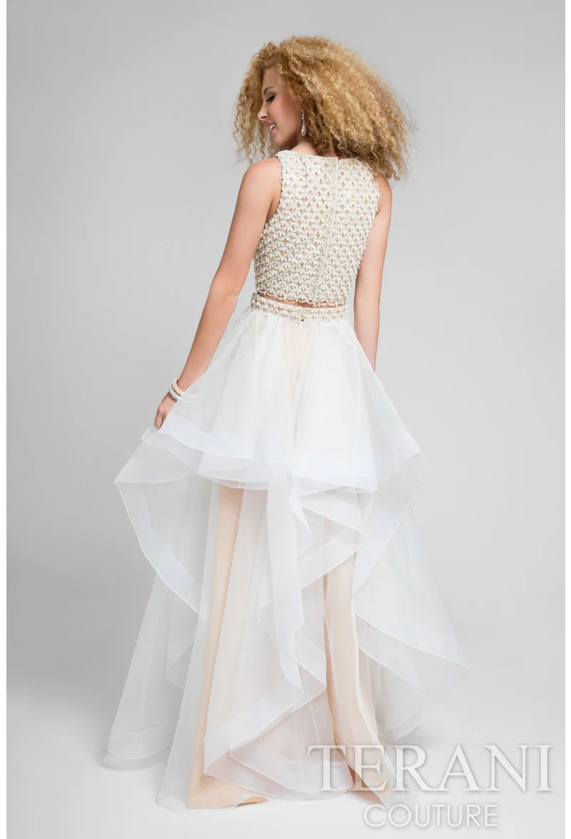TERANI COUTURE 1711P2688 Dress - Fashion Us
