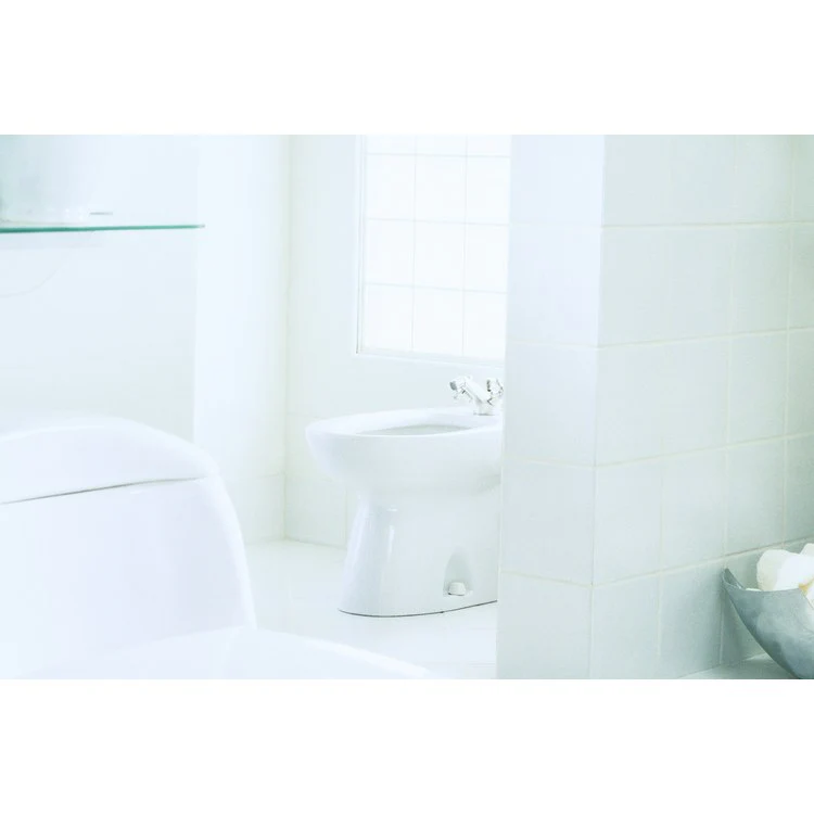 Piedmont Bidet with One Faucet Hole - Fashion Us