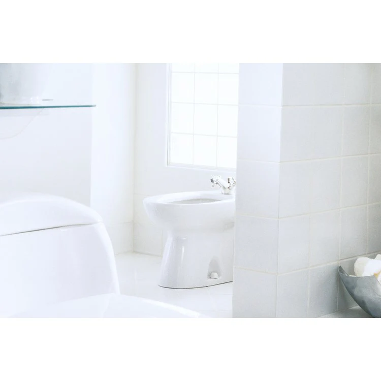 Piedmont Bidet with One Faucet Hole - Fashion Us