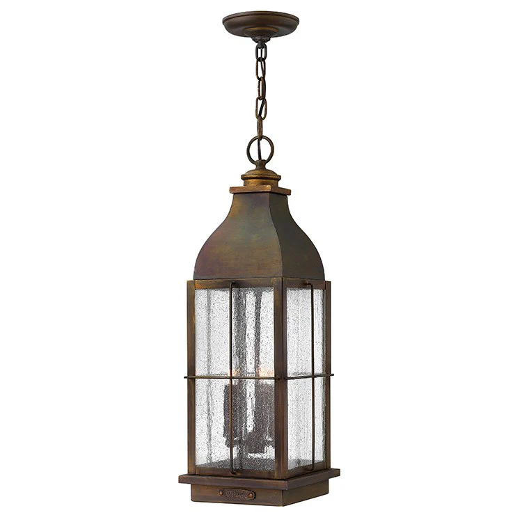 Bingham Hanging Lantern - Fashion Us
